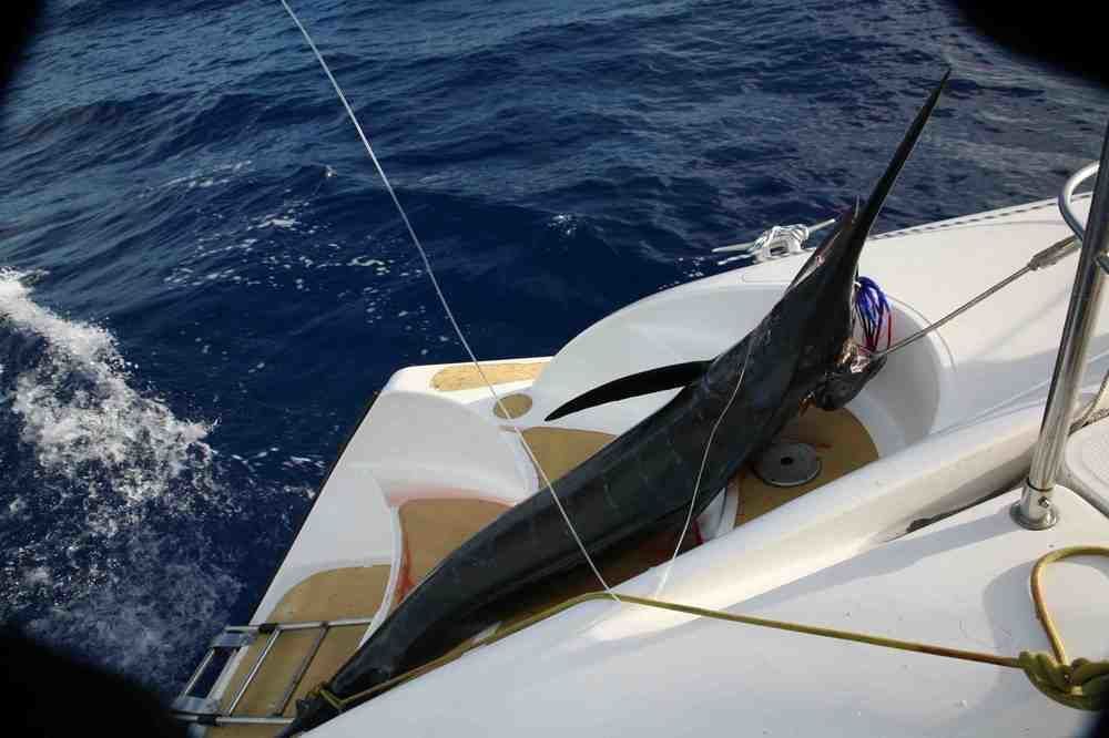 Tahiti Sail And Dive Ξενοδοχείο Βαϊτάπε Εξωτερικό φωτογραφία